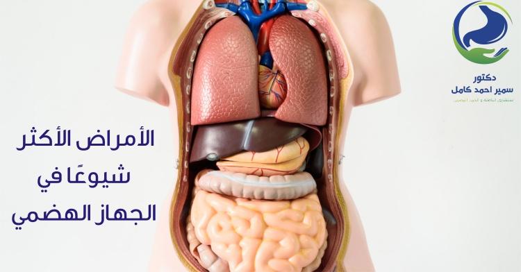 افضل دكتور باطنة في المقطم